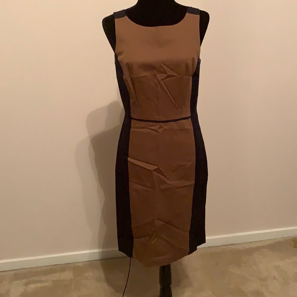 Club Monaco navy and camel pencil dress